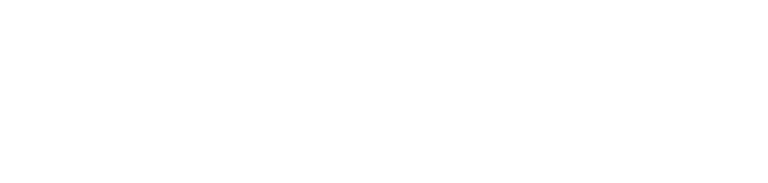 Busmiccolis